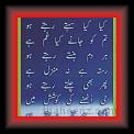 ghazal 03 * 22.03.2008 * 270 x 599 * (34KB)